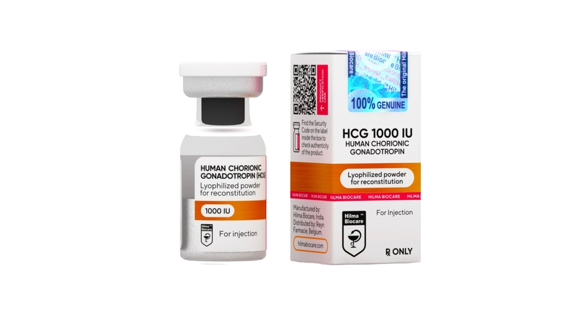 Adobe Express - file